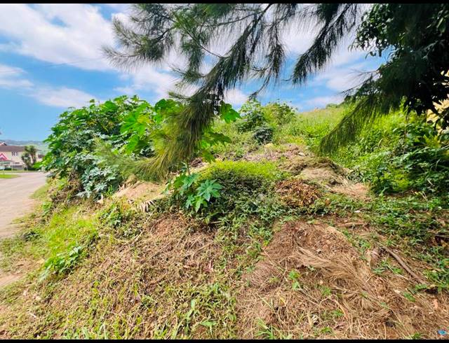 LAND FOR SALE IN RIDGEVIEW